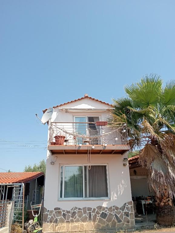 Port Melbourne Villa seen from the garden, a palm tree beside its balcony